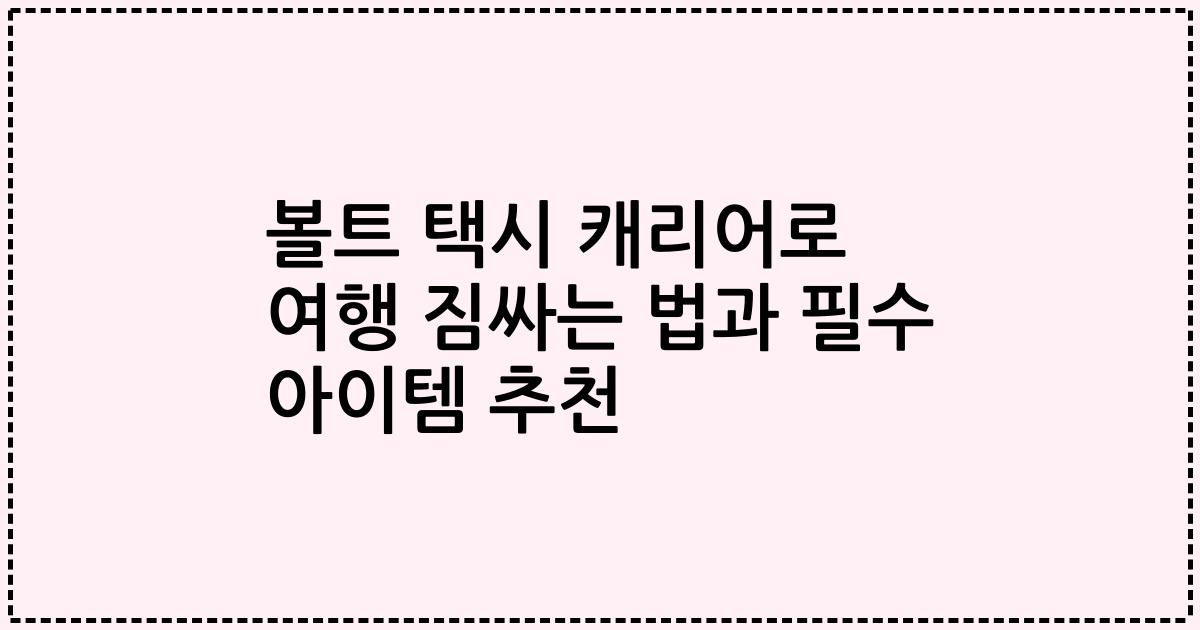 볼트 택시 캐리어로 여행 짐싸는 법과 필수 아이템 추천